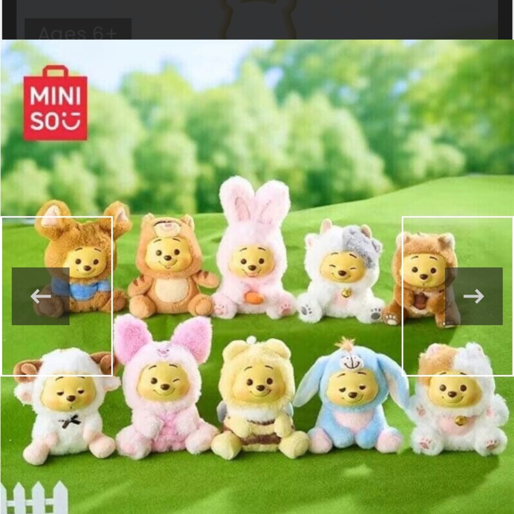Winnie Plush Toy Duo - Pink and Brown (confirmed boxes) per individual box